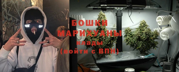 эйфоретик Липки